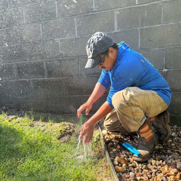 Xeriscape Landscaping Design Before and after backyard transformation with new patio, plants, and lighting