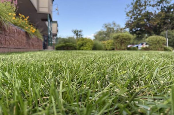 comercial landscaping