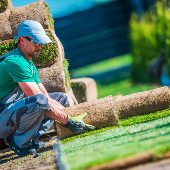 Commercial Landscaping Maintenance