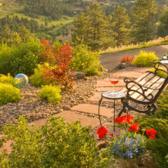 JDGreen Garden Xeriscape