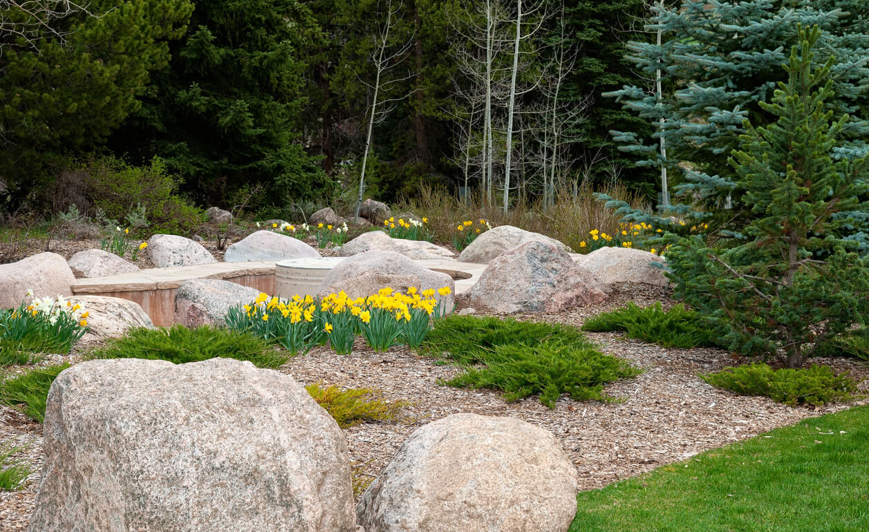 iStock-961892640 (1)